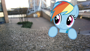 Dashie-in-real-life-my-little-pony-friendship-is-magic-31445590-1907-1097